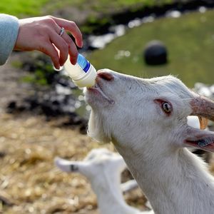 Ferme pédagogique