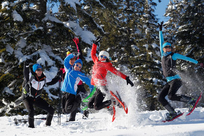 Divertimento sulla neve con gli amici