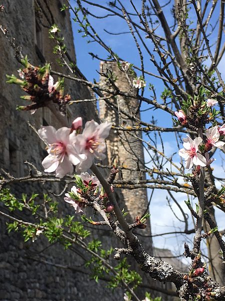 Il castello di Tallard in primavera