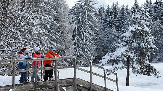 Nordic skiing at the Bayard estat