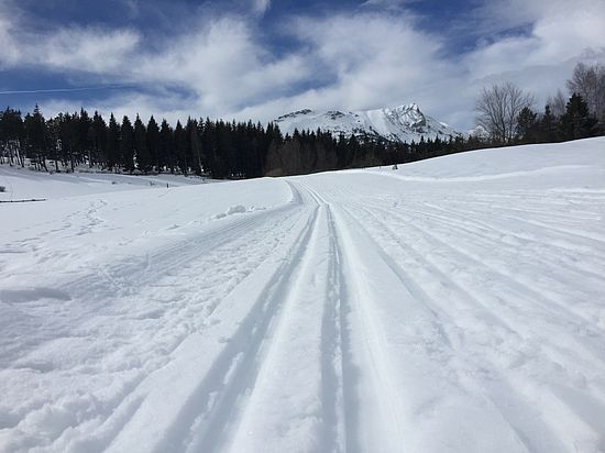 Skating track in Bayard 