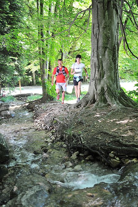 Espace trail au domaine de Charance